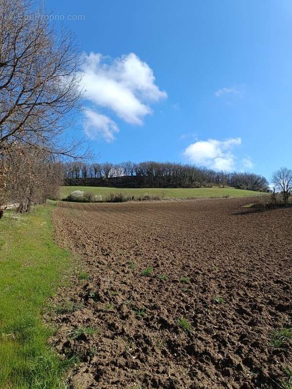 Terrain agricole sur 6 hectares, bois, source, compteur d'eau, clos, abri animaux, chevaux - photo 14