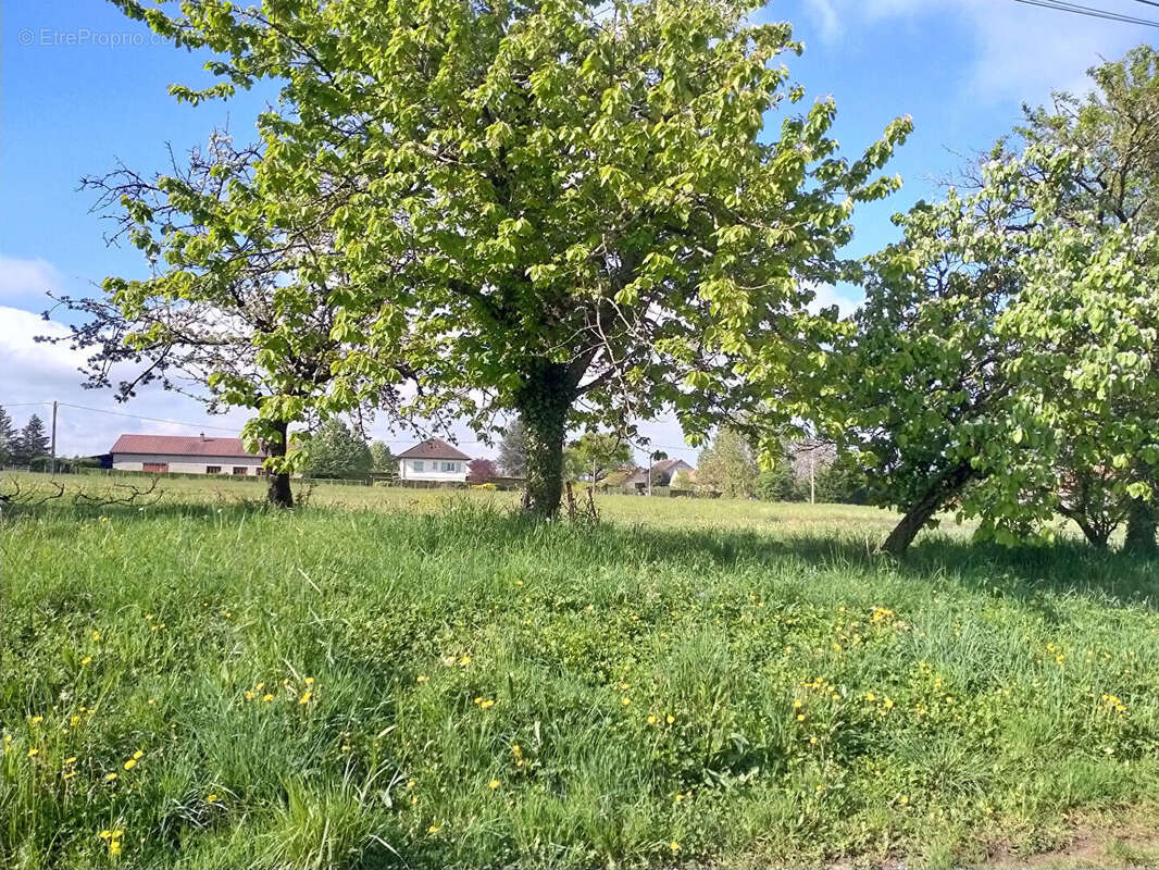 Terrain à SAINT-MAURICE-EN-RIVIERE
