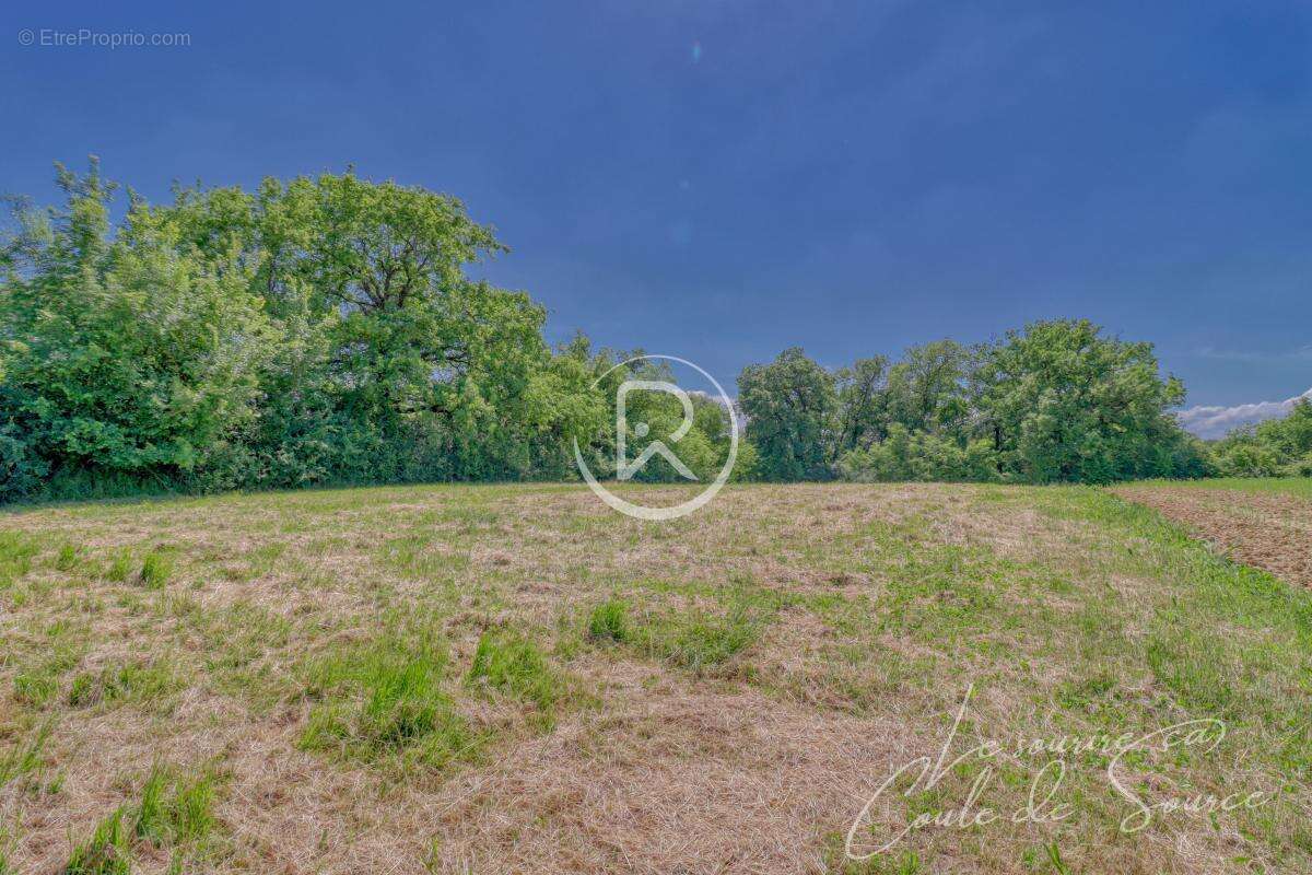 Terrain à BEAUMONT-DE-LOMAGNE