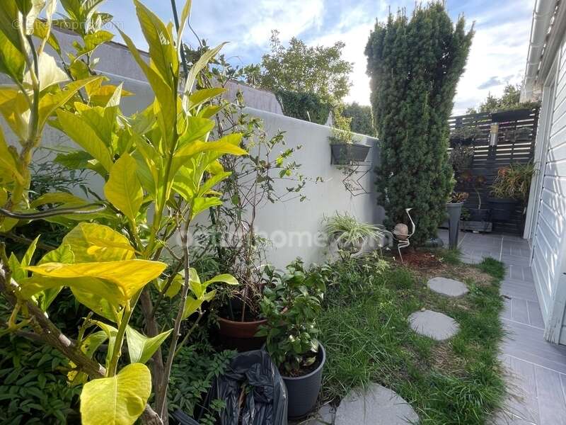 Maison à RIVEDOUX-PLAGE