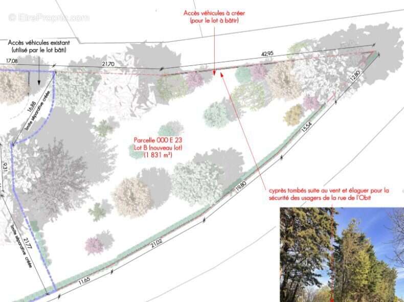Terrain à MAS-SAINTES-PUELLES