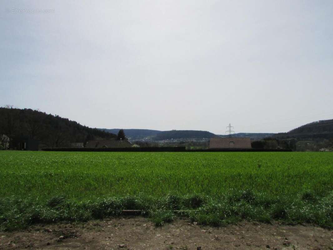 IMG_2636 - Terrain à SAINT-ETIENNE-LES-REMIREMONT