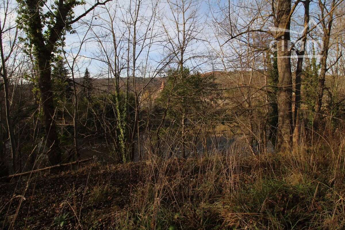 Terrain à CAMPAGNE-SUR-AUDE