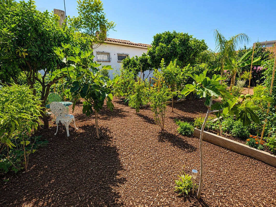 Cannes bas Croix-des-Gardes - Maison neuve 82 m²  niché dans la verdure - Terrain 609 m² - Création possible d'un étage - photo 2