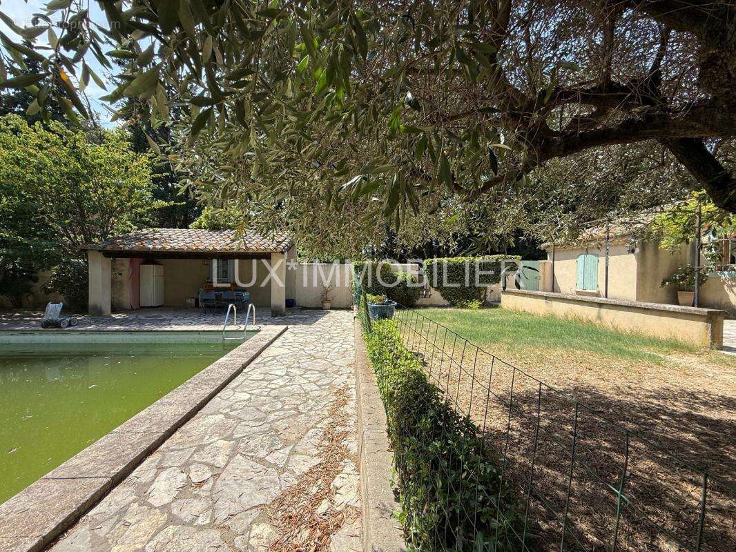 Maussane-les-alpilles - villa 3 pieces a agrandir - piscine - photo 6