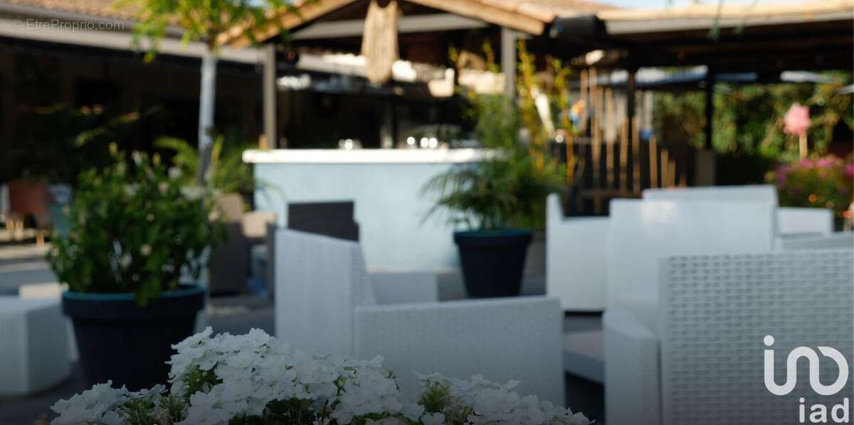 Photo 8 - Commerce à PUJAUT