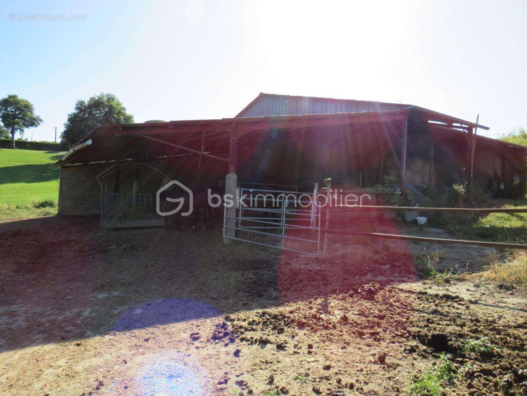Grande Maison familiale 6 pièces avec dépendances en campagne - photo 4