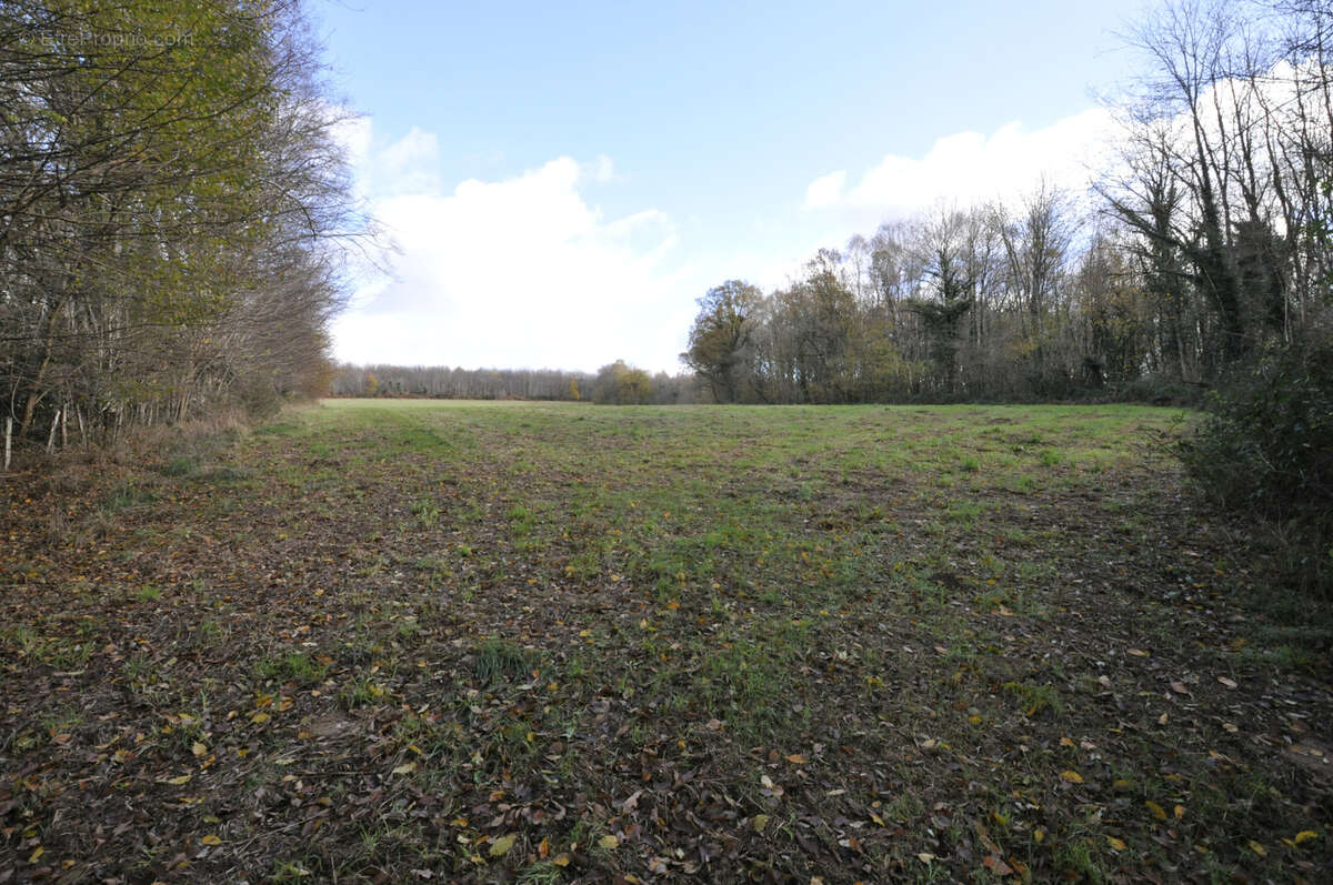 Terrain à VICQ-SUR-BREUILH