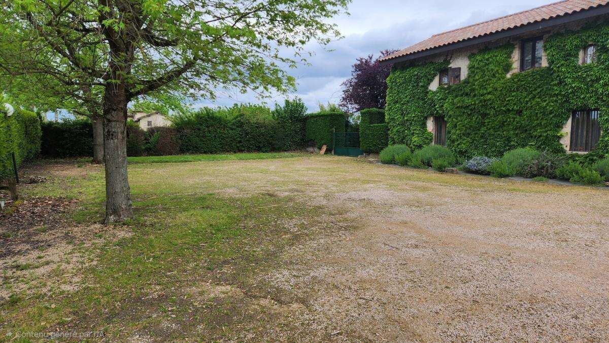 Commerce à AMBERIEUX-EN-DOMBES