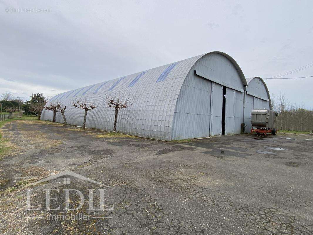 Commerce à CAZAUBON