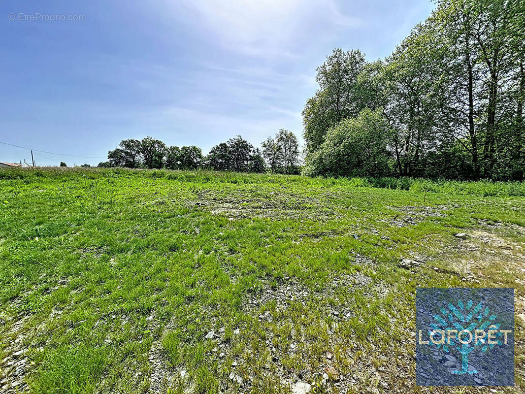 Terrain à SAUGNAC-ET-CAMBRAN
