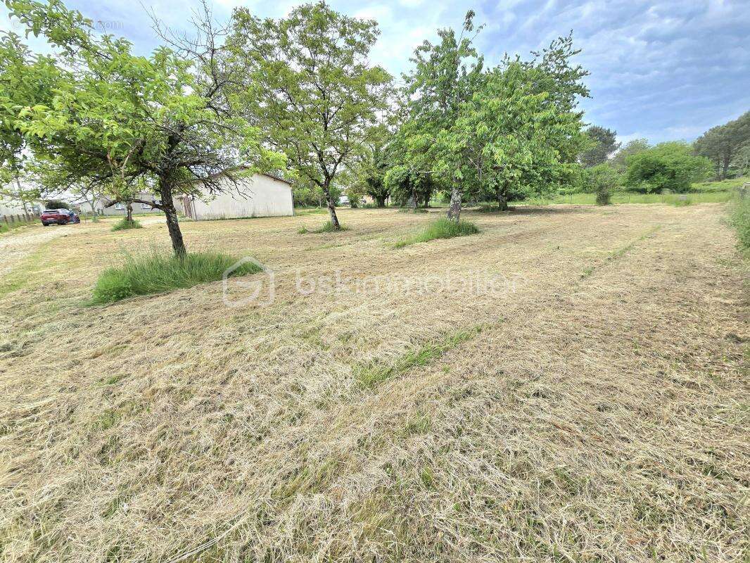 Pavillon 2 chambres (possibilite 3) sur un terrain constructible de 3 237 m2 !!! - photo 4
