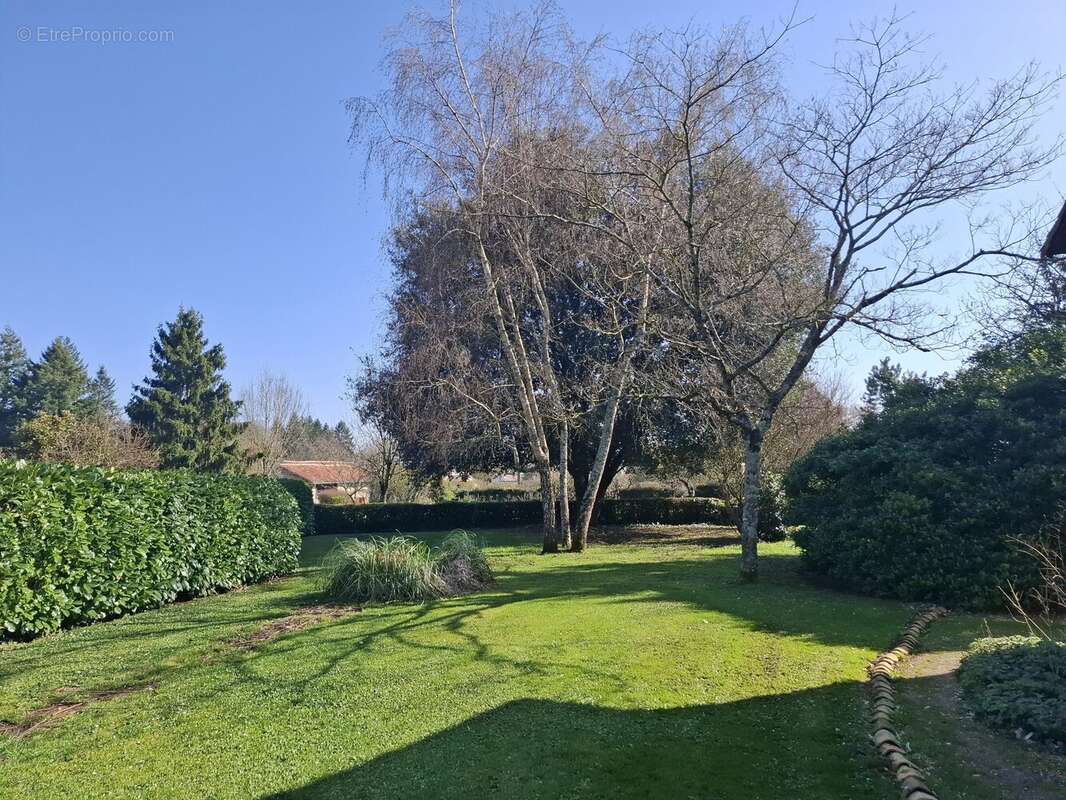 Maison à CLUSSAIS-LA-POMMERAIE