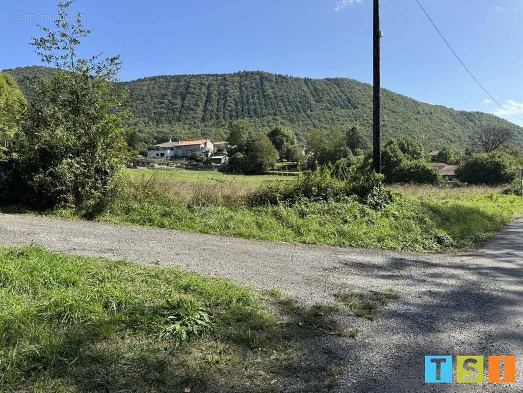 Terrain à BARBAZAN