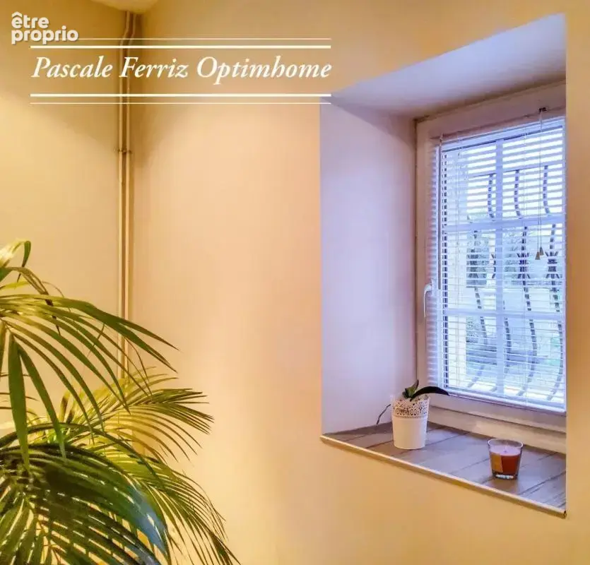 FRANCON - MAISON T8 - 5 chambres - 247 m² sur terrain 5893m² avec Piscine et Jacuzzi - photo 38