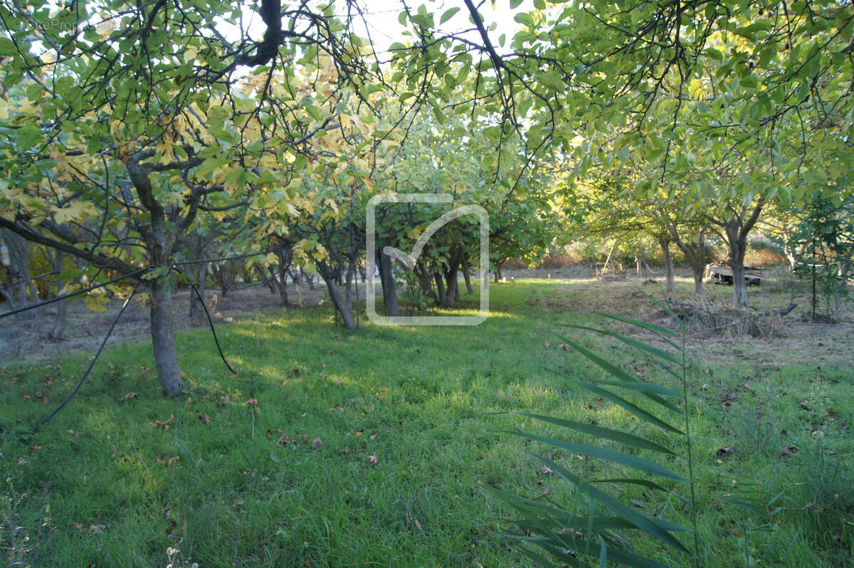 Terrain à SAINT-RESTITUT