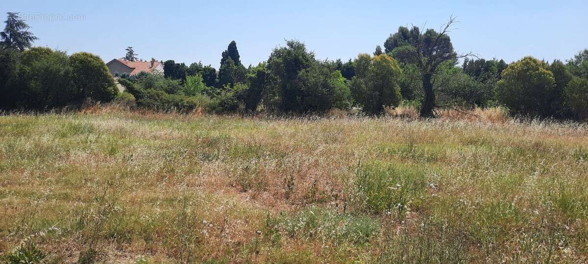 Projet de construction d'une maison  m² avec terrain à L'ISLE-SUR-LA-SORGUE (84) - photo 1