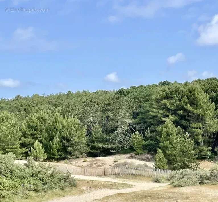 Appartement à QUEND