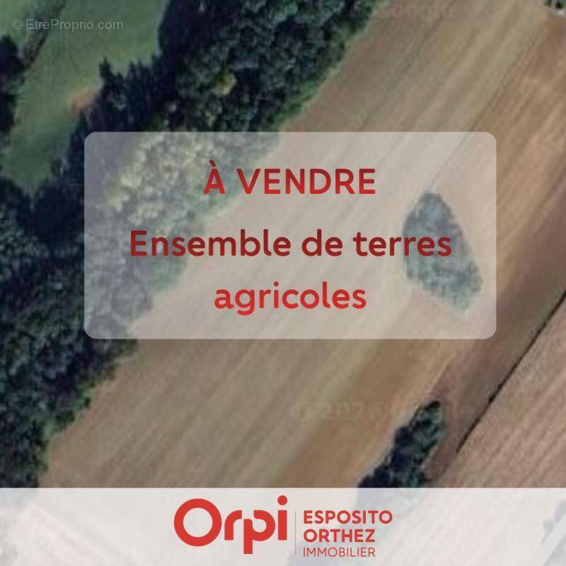 Terrain à OZENX-MONTESTRUCQ