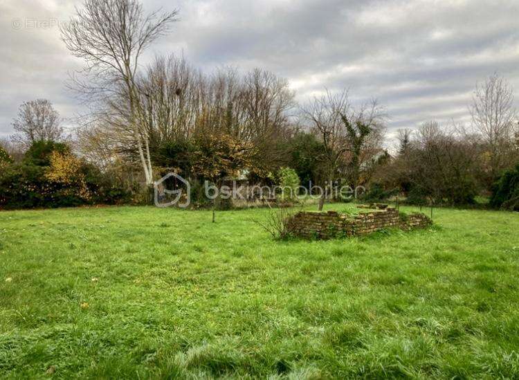 Maison à ECLARON-BRAUCOURT-SAINTE-LIVIERE