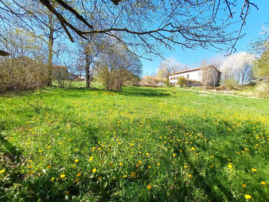 Terrain à CHOMELIX
