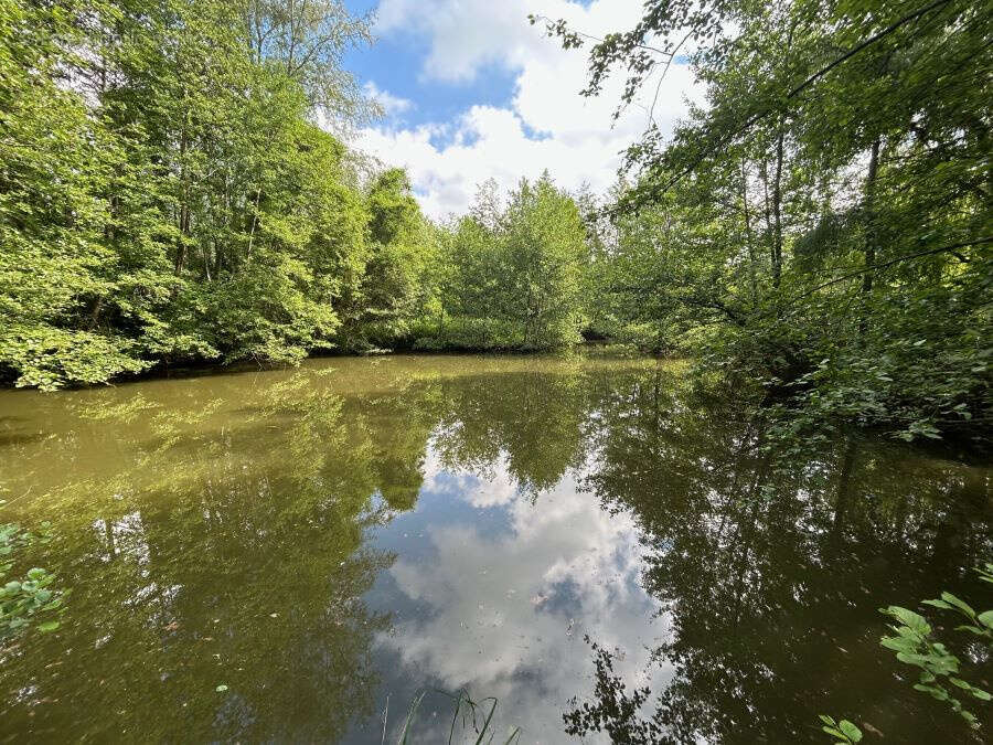 Terrain à SAINT-AMAND-LES-EAUX