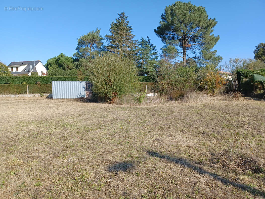 Terrain à BRESSUIRE