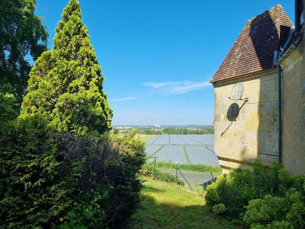 Magnifique manoir renaissance - photo 9