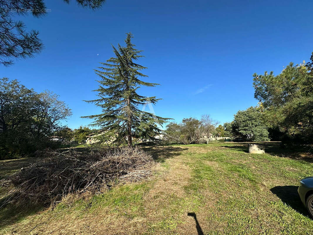 Terrain à BUZET-SUR-TARN