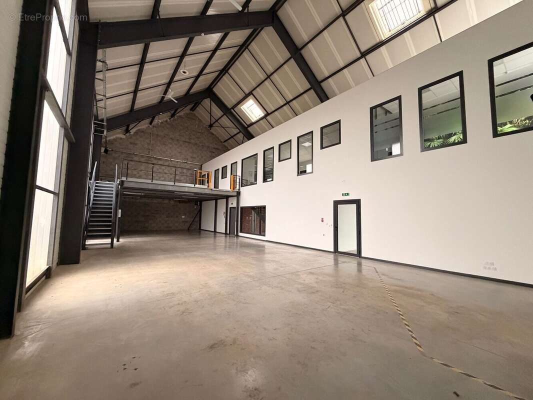 Commerce 451 m² à Saint-Malo  - photo 3
