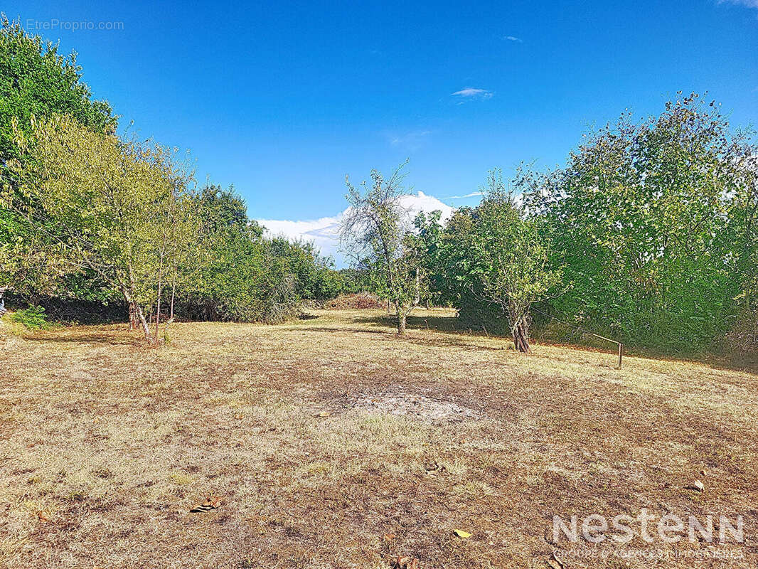 A Vendre Maison en pierre de 79 m² avec dépendances de 116 m² dans un hameau de Lagraulet-du-Gers - photo 14