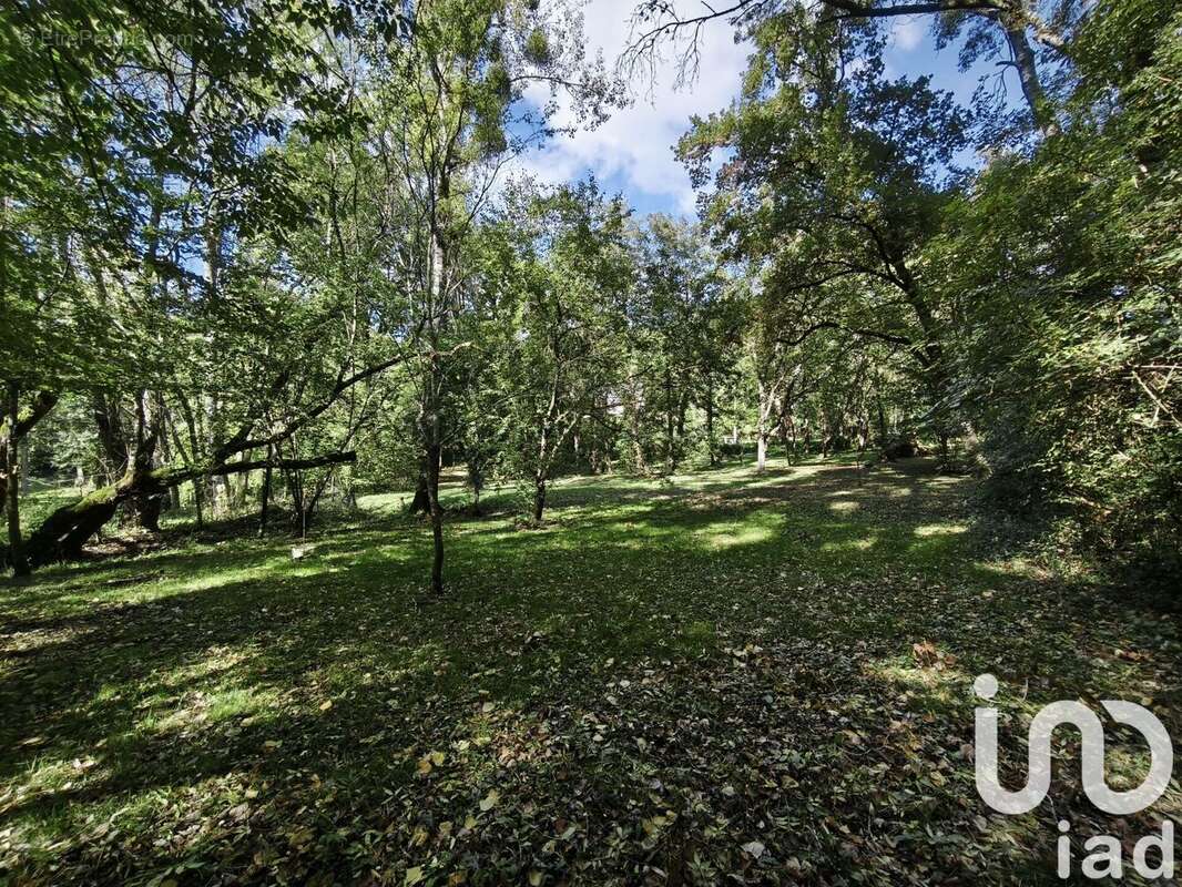 Photo 2 - Terrain à LA VERNELLE