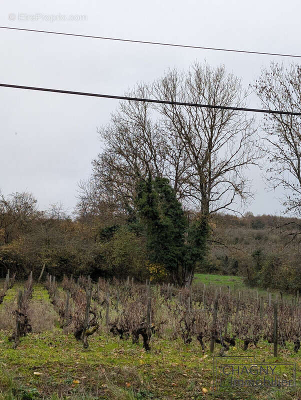 Terrain à CHASSEY-LE-CAMP