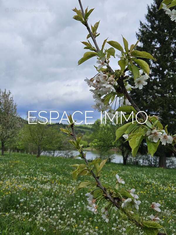 Maison à LIVINHAC-LE-HAUT