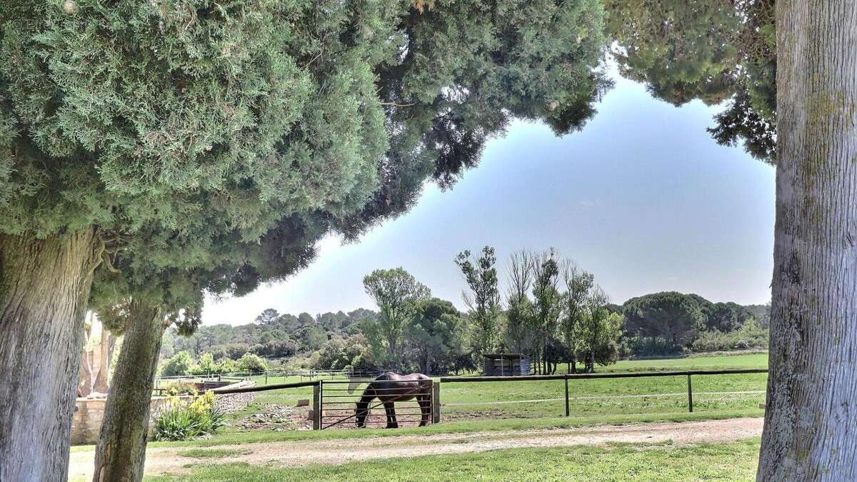 Photo 4 - Maison à NIMES