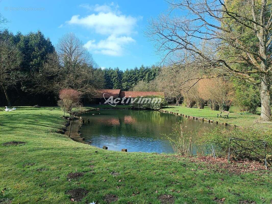 4260 1 - Maison à HESDIN