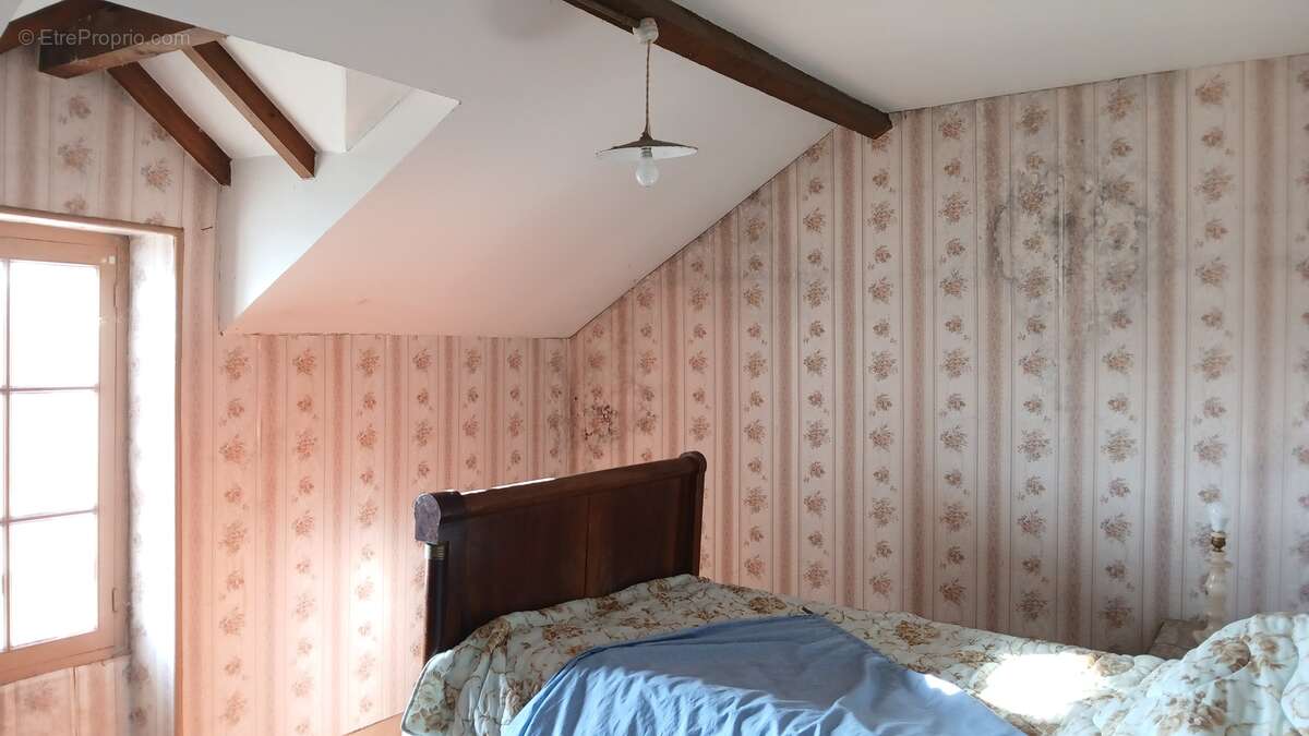 Maison 340 m² à Chassaignes  - photo 250
