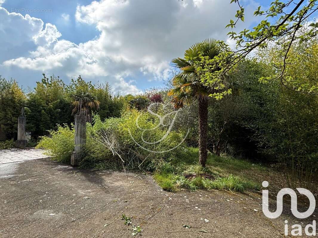 Photo 3 - Terrain à SAINTRY-SUR-SEINE