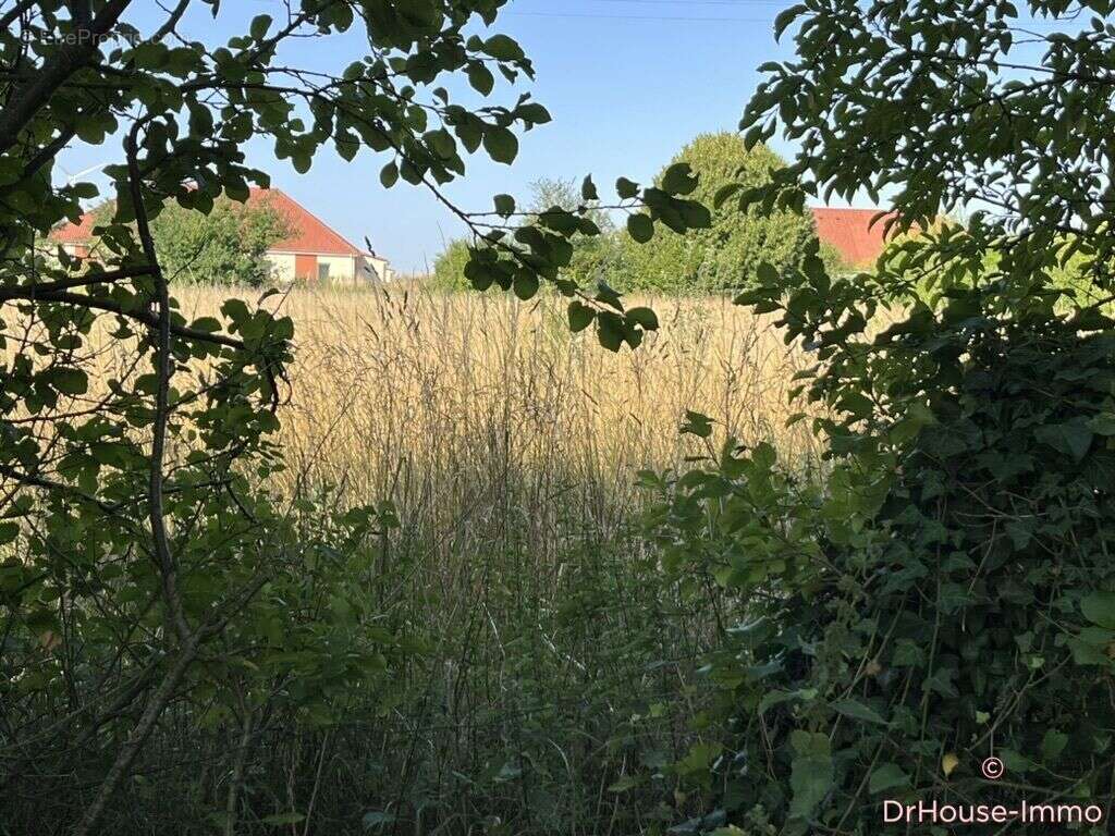 Terrain à SAVIERES