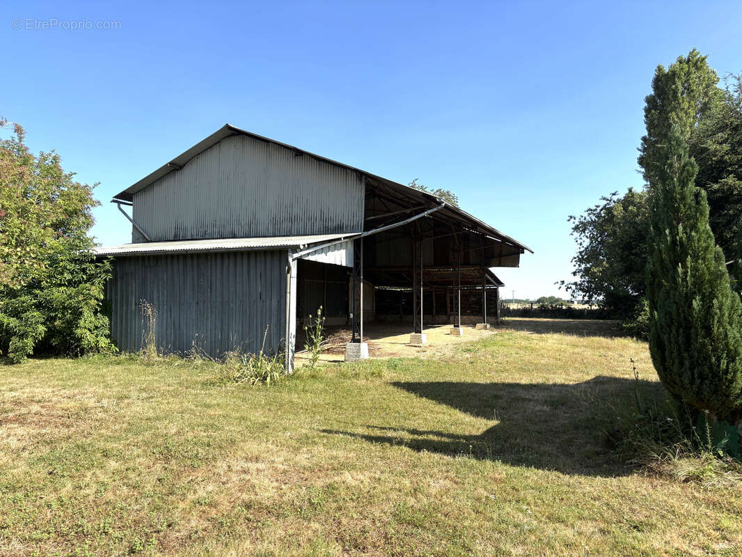 Savigny-sur-clairis - photo 6