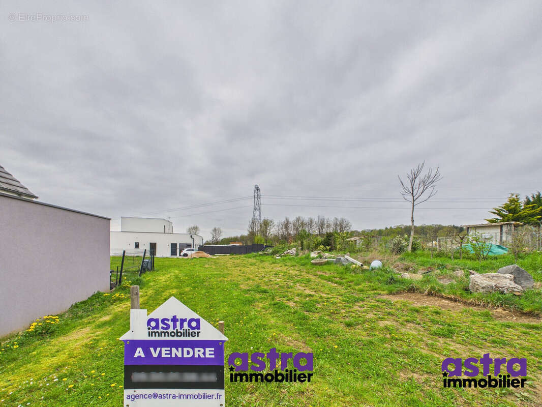 Terrain à WALDIGHOFEN