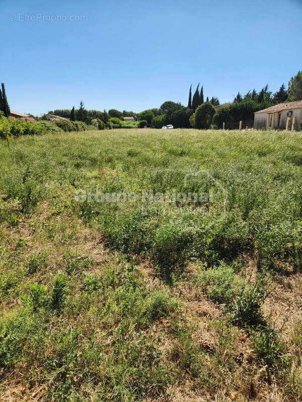 Terrain à FONTVIEILLE