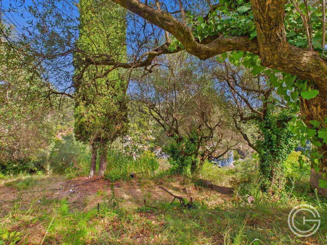Terrain Constructible - 1.329m² - Chemin de Rimiez - ST ANDRE DE LA ROCHE - photo 5