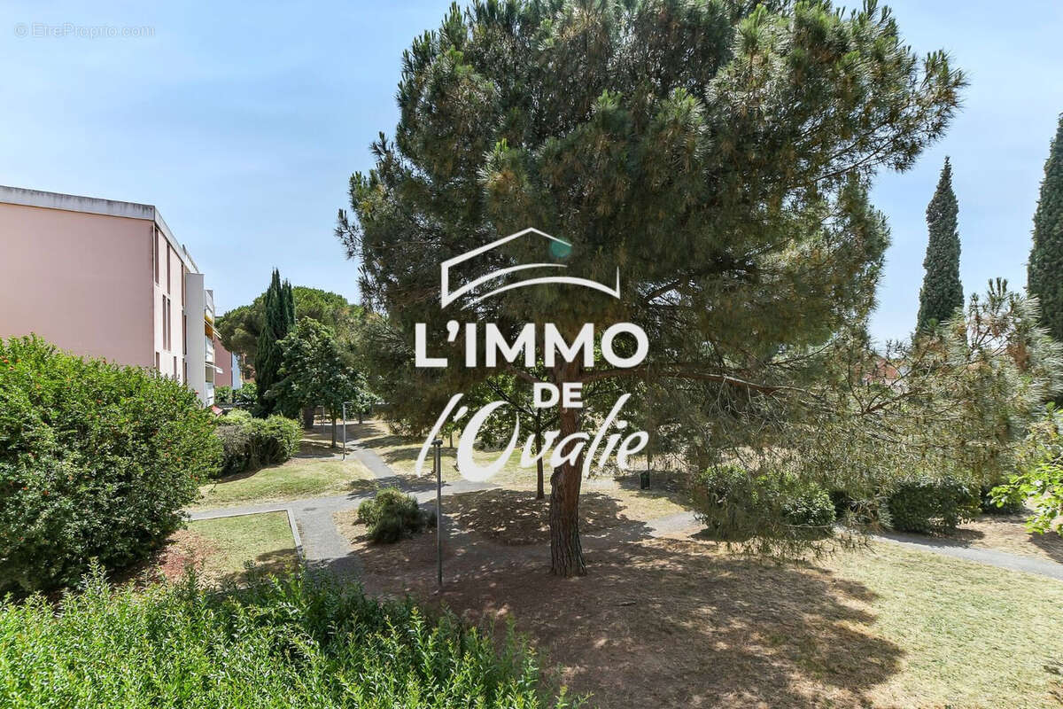 Appartement à BLAGNAC