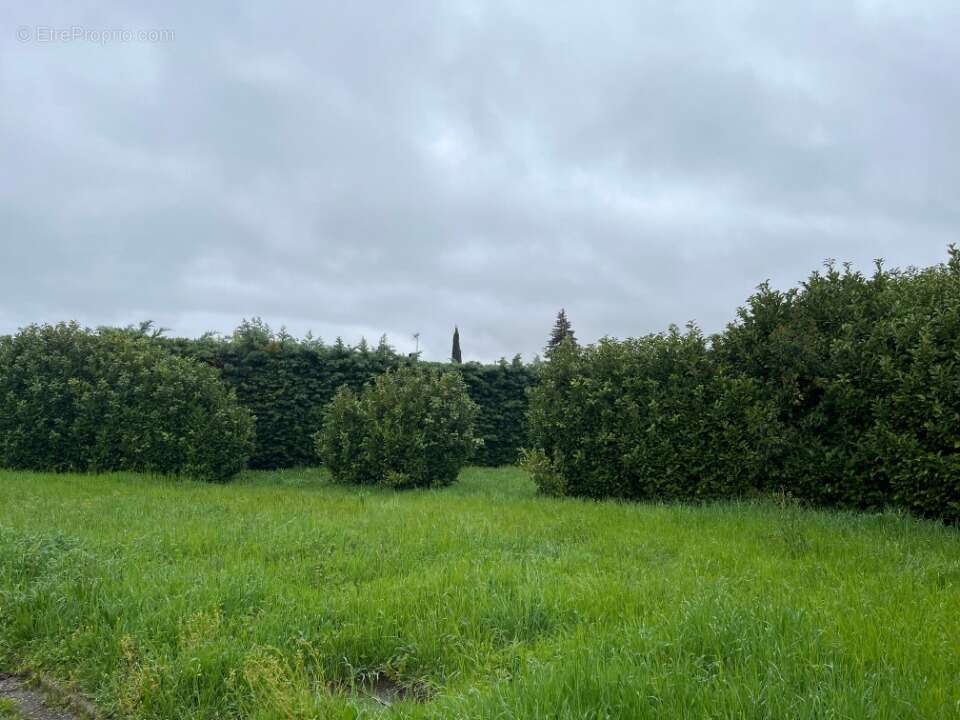 Terrain à LORIOL-SUR-DROME