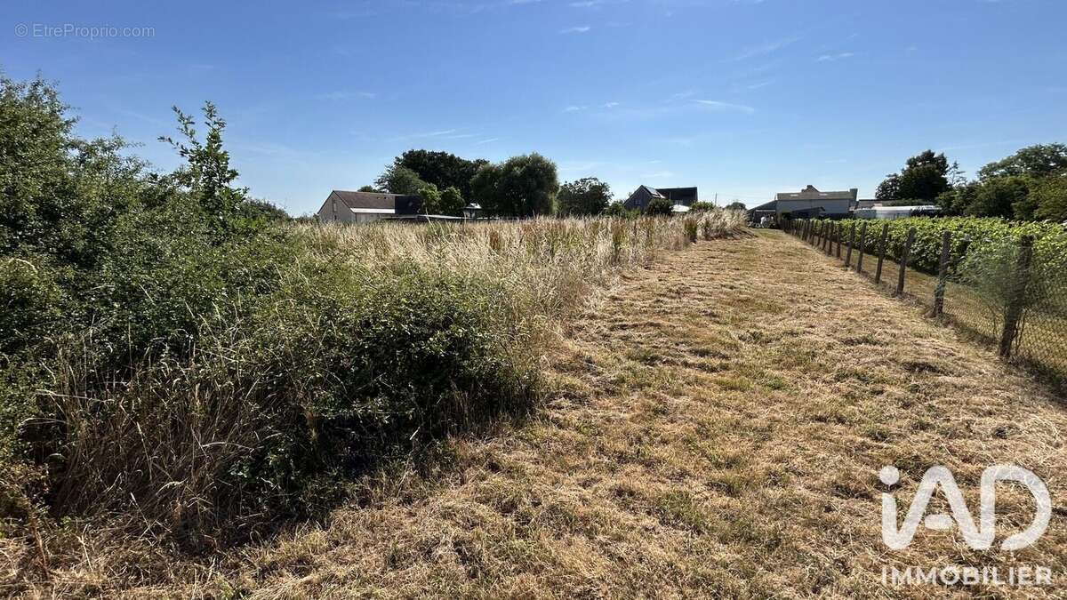 Terrain 2382 m² à Villeperdue  - photo 5