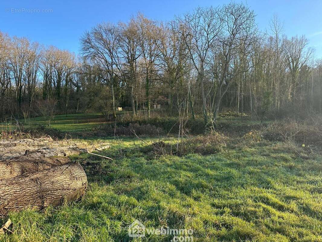 La façade est de 14 métres - Terrain à VORGES
