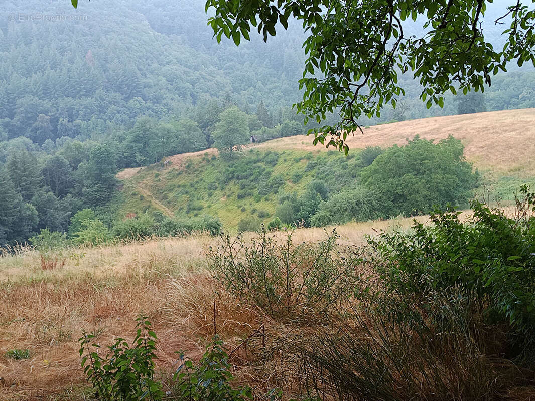 Corps de ferme - photo 16