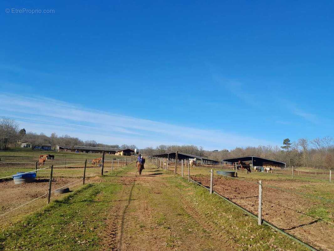 Beau domaine Équestre avec maison d'habitation en Pays de Belvès - photo 7