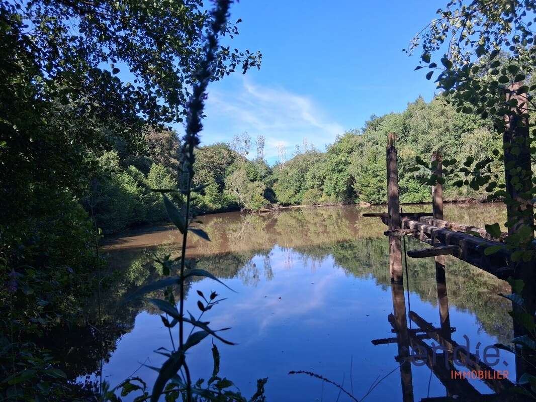 Terrain avec etang - photo 4
